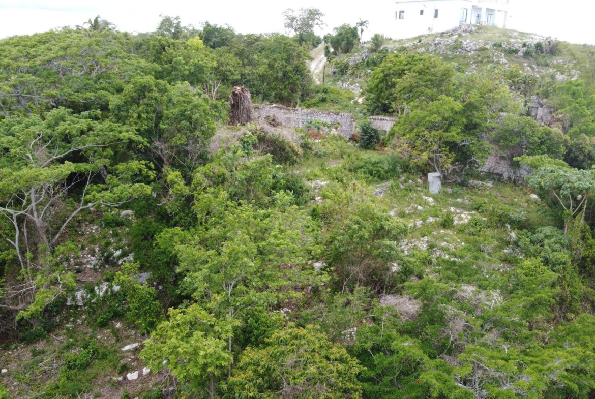 Twenty-Fourth image of Ramble Hill, Gordon's Cro in Montego Bay, St. James, Jamaica - property is For Sale