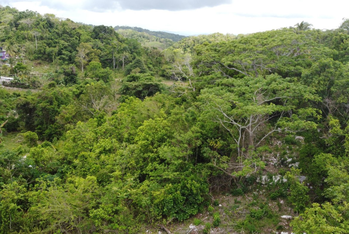 Twenty-Fifth image of Ramble Hill, Gordon's Cro in Montego Bay, St. James, Jamaica - property is For Sale
