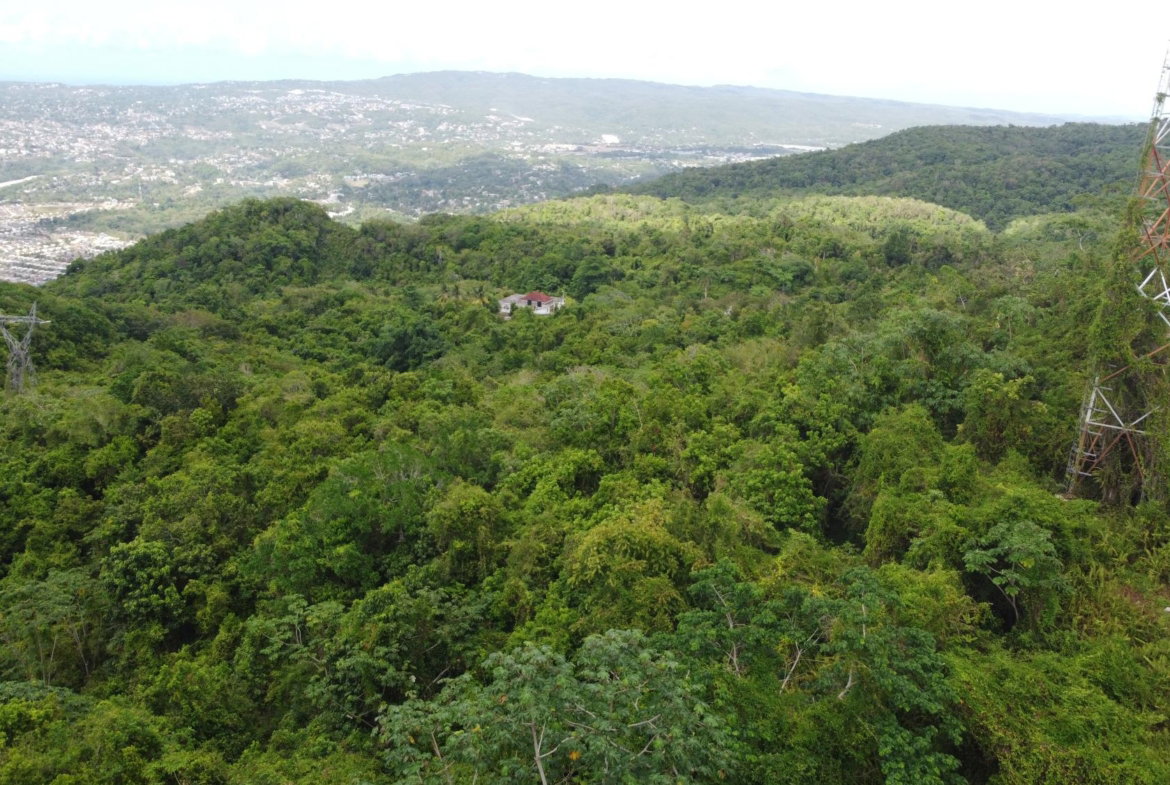 Twenty-Eighth image of Ramble Hill, Gordon's Cro in Montego Bay, St. James, Jamaica - property is For Sale
