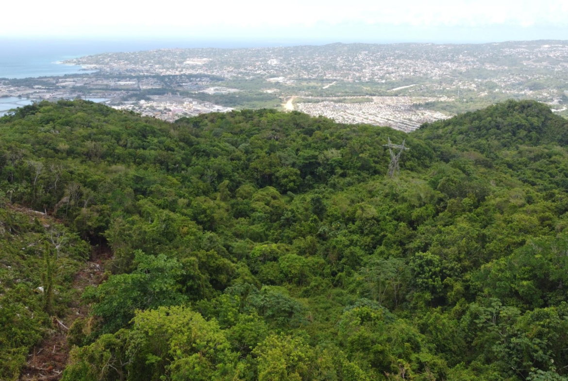 Twenty-Ninth image of Ramble Hill, Gordon's Cro in Montego Bay, St. James, Jamaica - property is For Sale