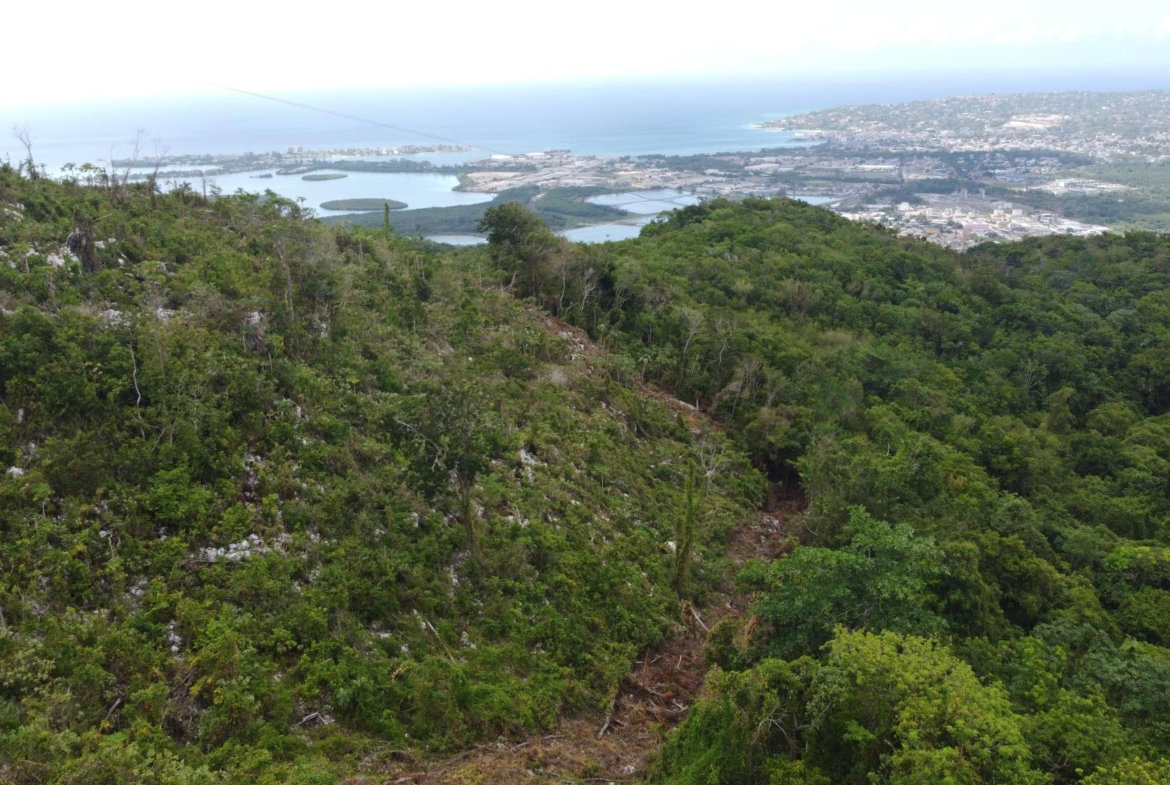 Thirtieth image of Ramble Hill, Gordon's Cro in Montego Bay, St. James, Jamaica - property is For Sale