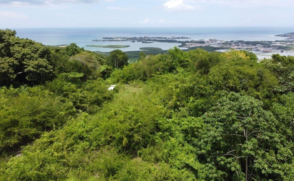 Sixth image of Ramble Hill, Gordon's Cro in Montego Bay, St. James, Jamaica - property is For Sale