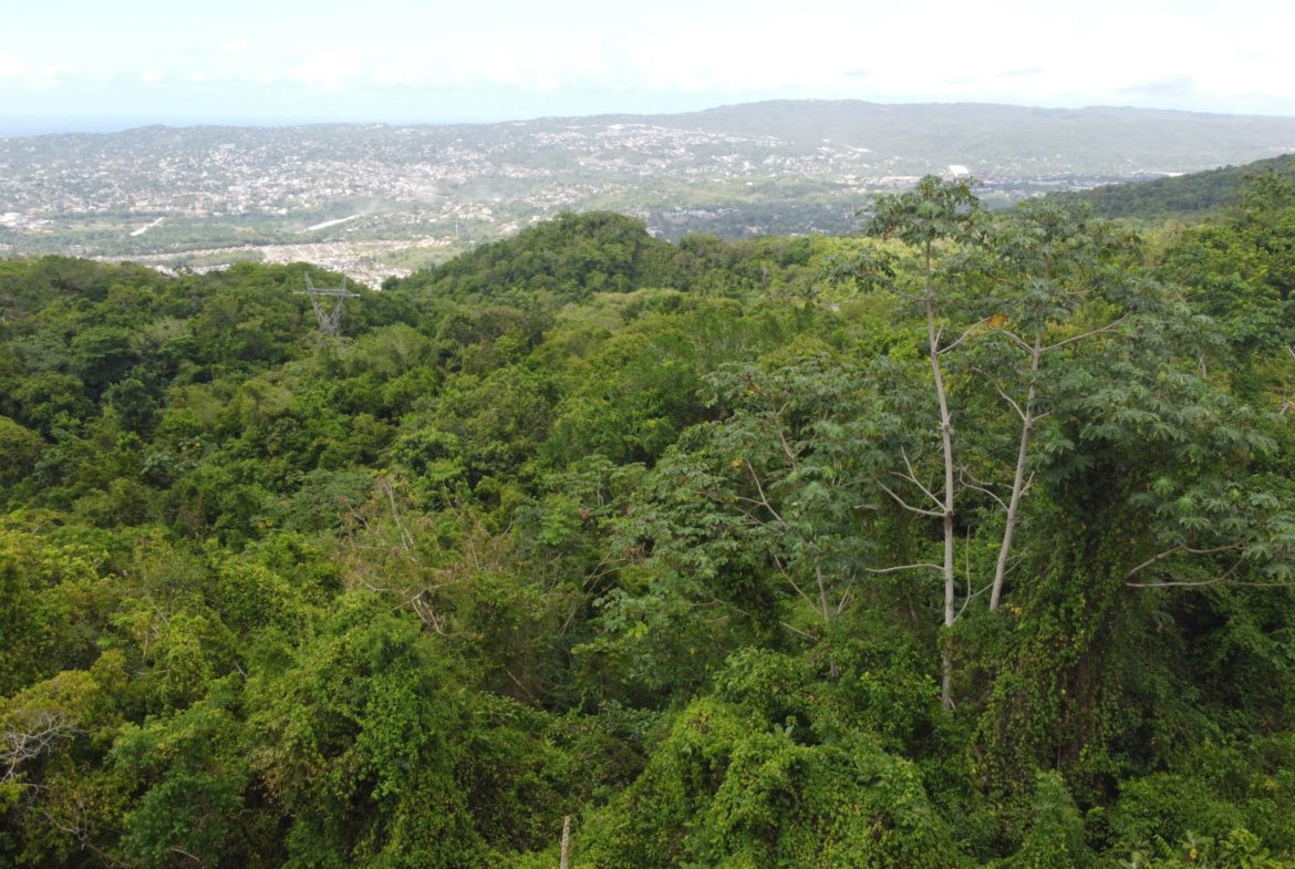 Eighth image of Ramble Hill, Gordon's Cro in Montego Bay, St. James, Jamaica - property is For Sale