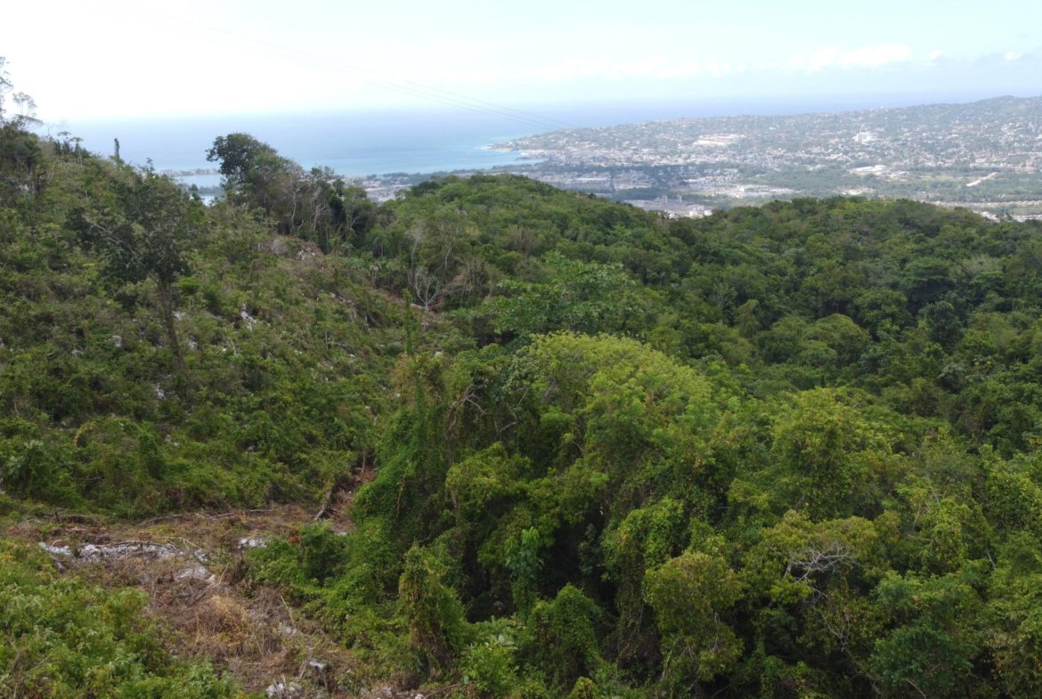Ninth image of Ramble Hill, Gordon's Cro in Montego Bay, St. James, Jamaica - property is For Sale
