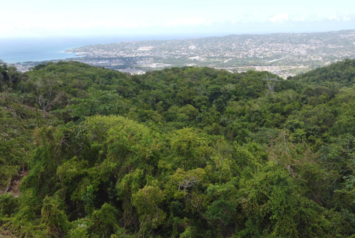 Tenth image of Ramble Hill, Gordon's Cro in Montego Bay, St. James, Jamaica - property is For Sale