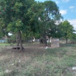 First image of Lot 2 Denbigh in Denbigh, Clarendon, Jamaica - property is For Sale