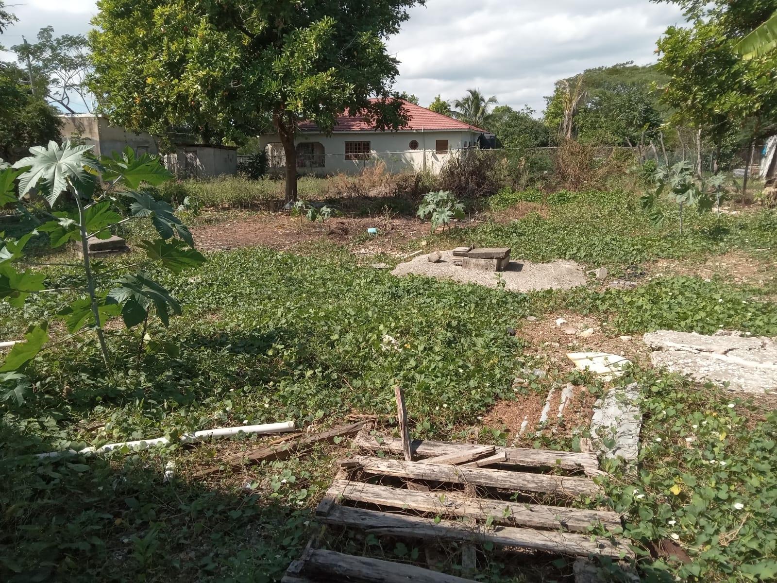 Seventh image of Lot 2 Denbigh in Denbigh, Clarendon, Jamaica - property is For Sale