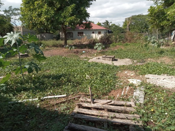 Seventh image of Lot 2 Denbigh in Denbigh, Clarendon, Jamaica - property is For Sale