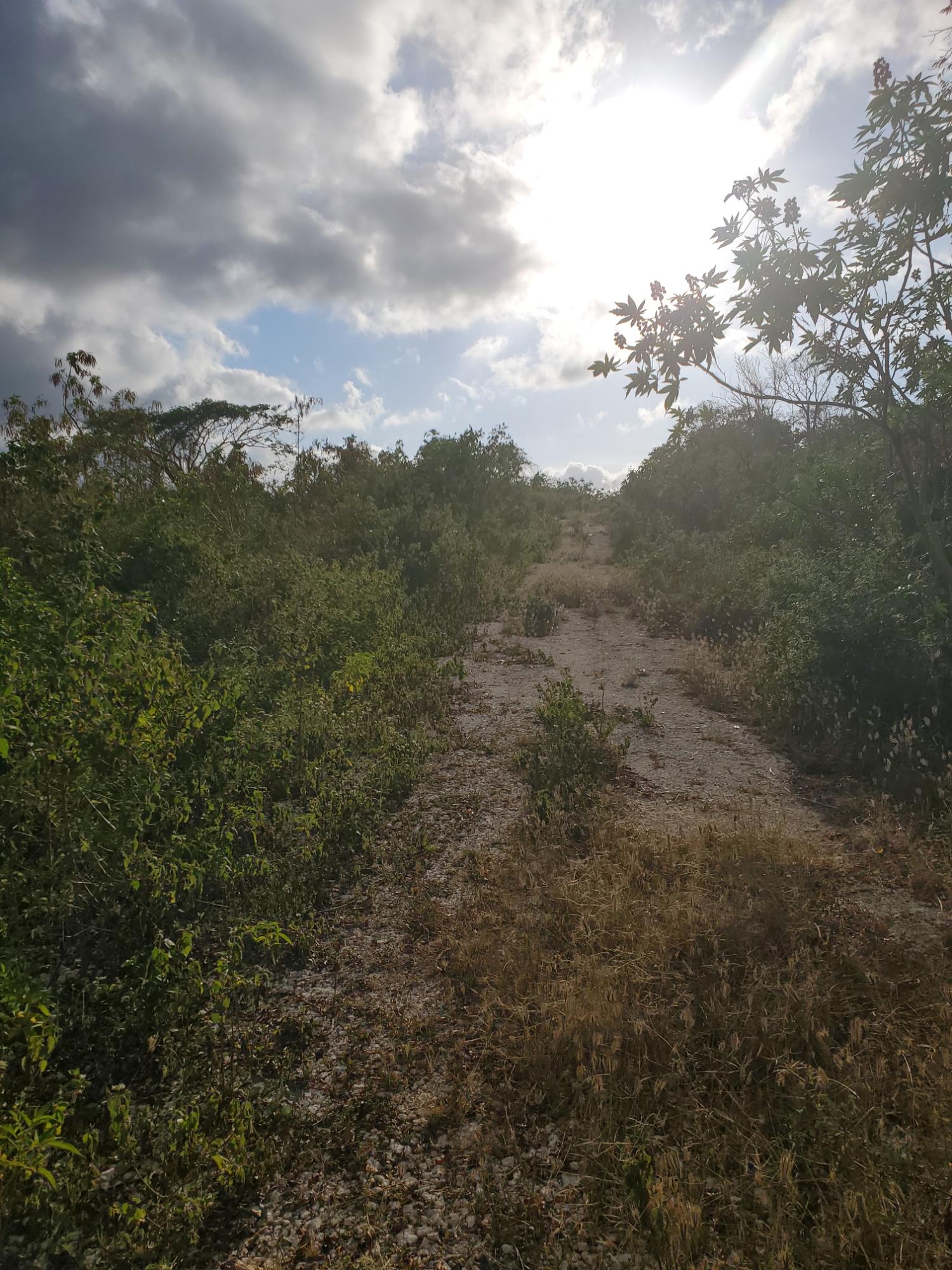 15.375-Acres-Development-Land-for-Sale-in-Huddersfield-St.-Mary-Jamaica Second image of 8 Huddersfield st Mary in Huddersfield Estates, St. Mary, Jamaica - property is For Sale