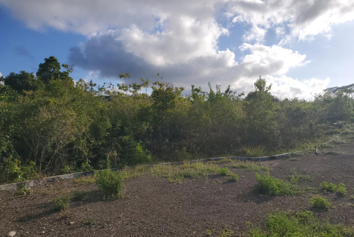 Eleventh image of 8 Huddersfield st Mary in Huddersfield Estates, St. Mary, Jamaica - property is For Sale