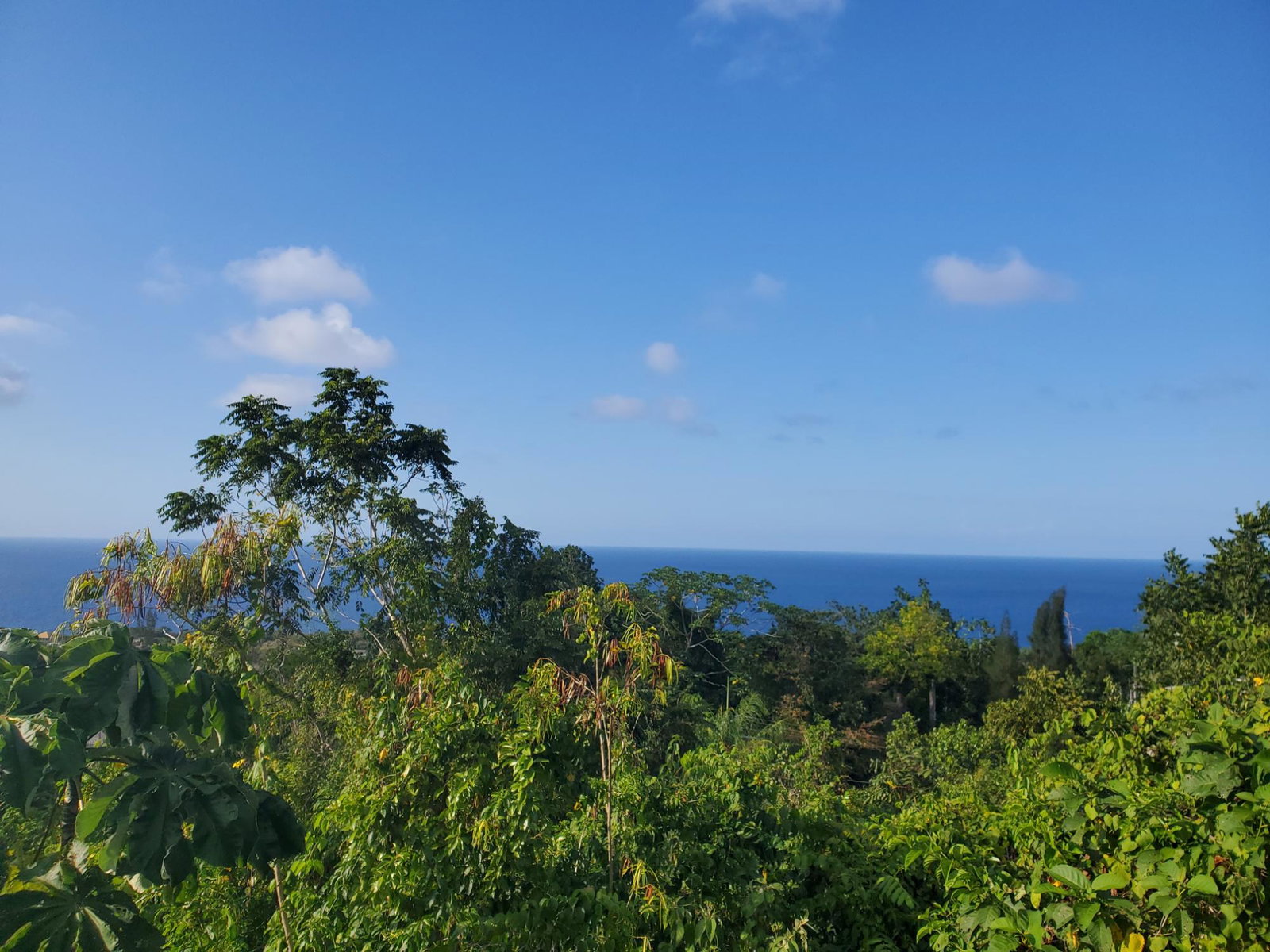 15.375-Acres-Development-Land-for-Sale-in-Huddersfield-St.-Mary-Jamaica Sixteenth image of 8 Huddersfield st Mary in Huddersfield Estates, St. Mary, Jamaica - property is For Sale