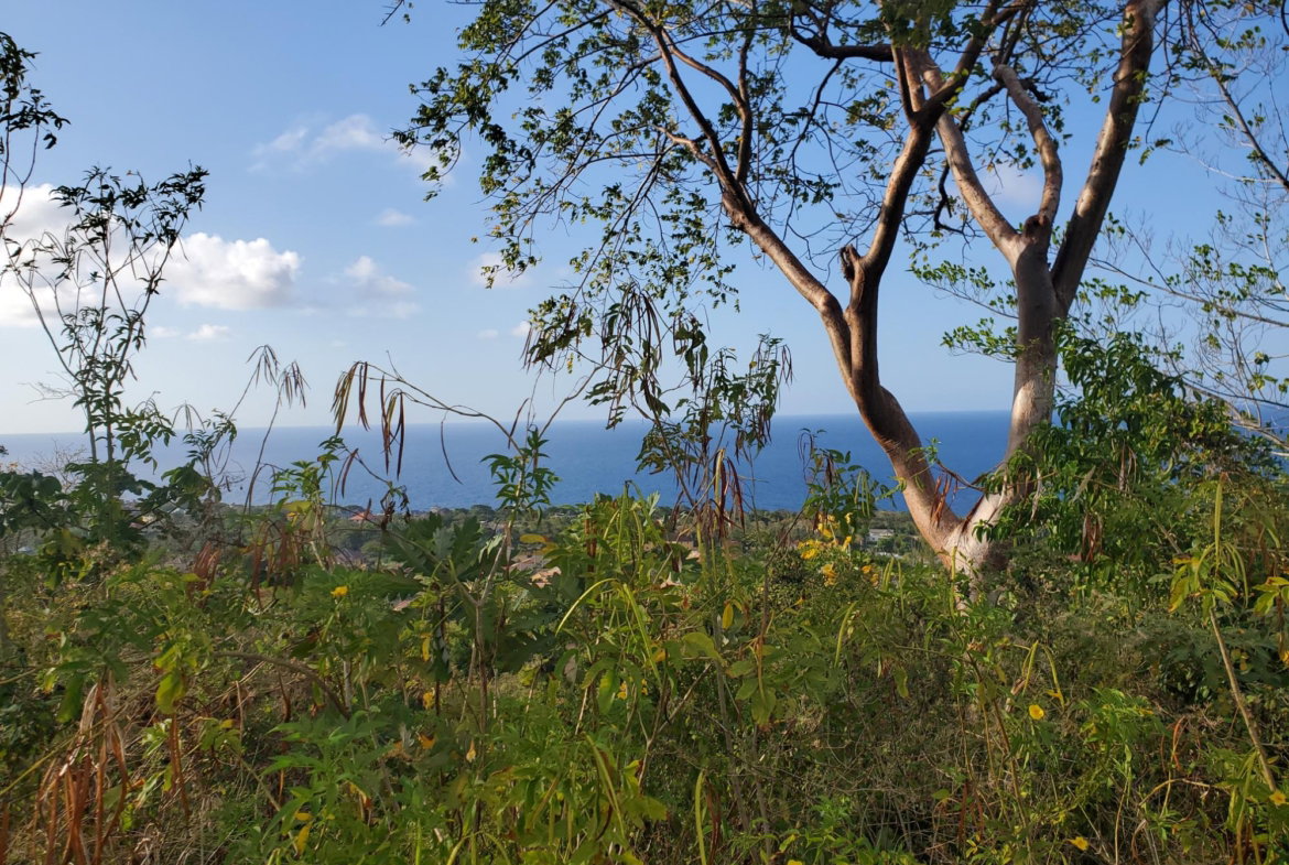 Fifth image of 8 Huddersfield st Mary in Huddersfield Estates, St. Mary, Jamaica - property is For Sale