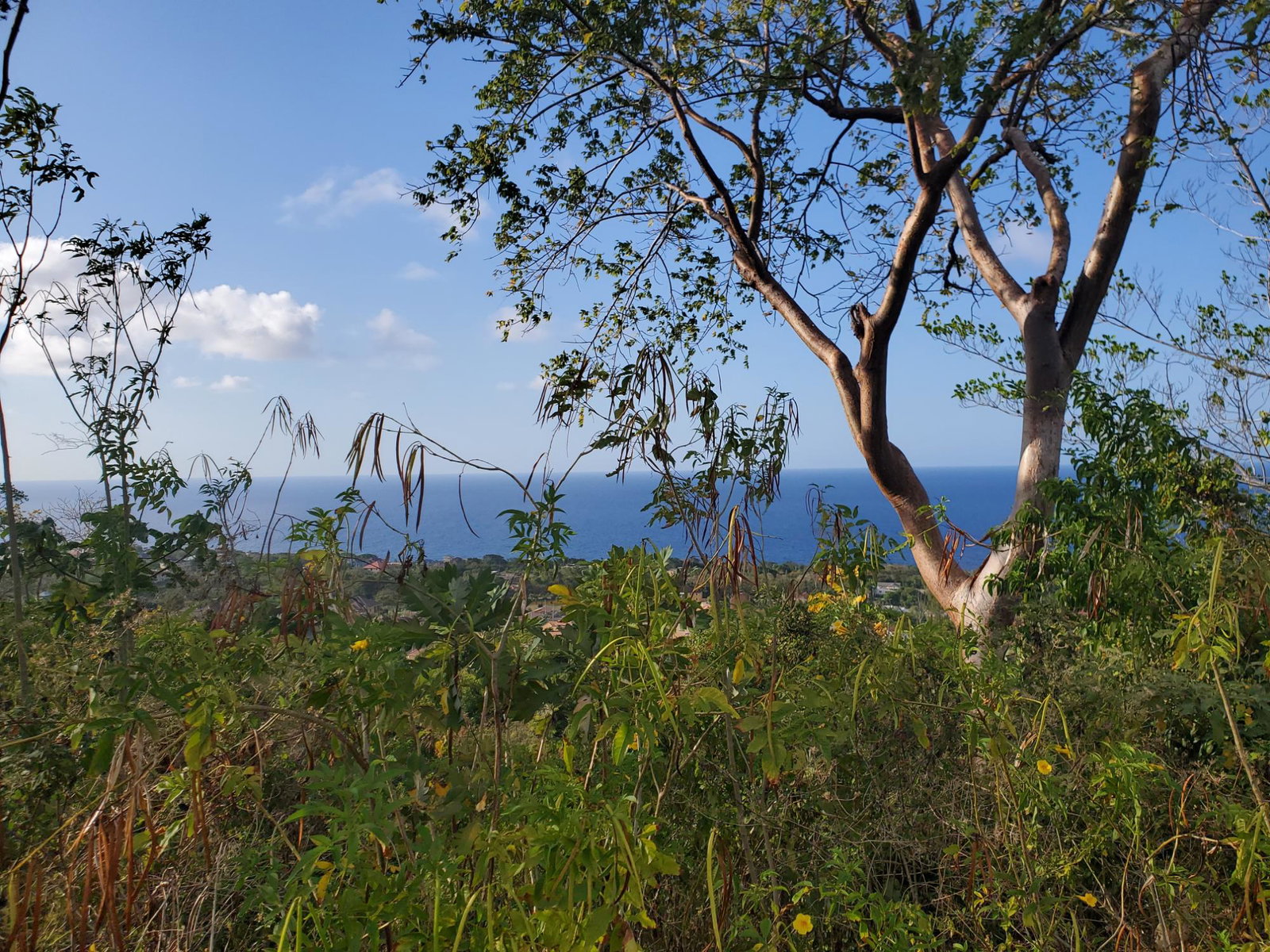 15.375-Acres-Development-Land-for-Sale-in-Huddersfield-St.-Mary-Jamaica Ninth image of 8 Huddersfield st Mary in Huddersfield Estates, St. Mary, Jamaica - property is For Sale