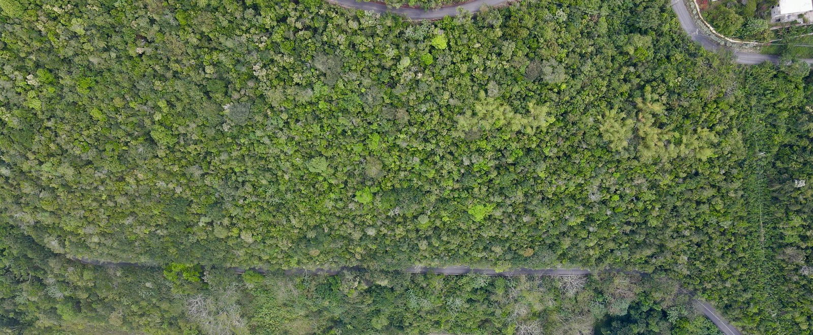 Sixth image of Red Hills Road/woodlands in Red Hills, St. Andrew, Jamaica - property is For Sale