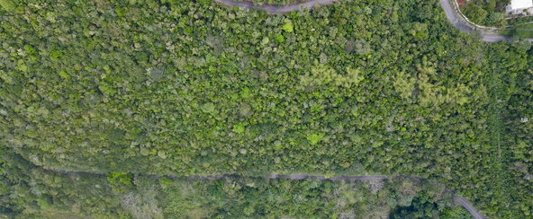 Sixth image of Red Hills Road/woodlands in Red Hills, St. Andrew, Jamaica - property is For Sale