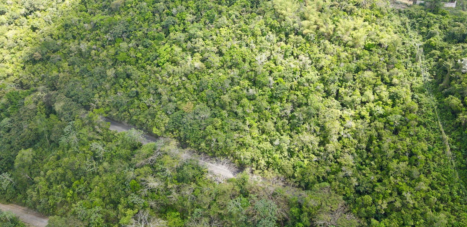 Seventh image of Red Hills Road/woodlands in Red Hills, St. Andrew, Jamaica - property is For Sale