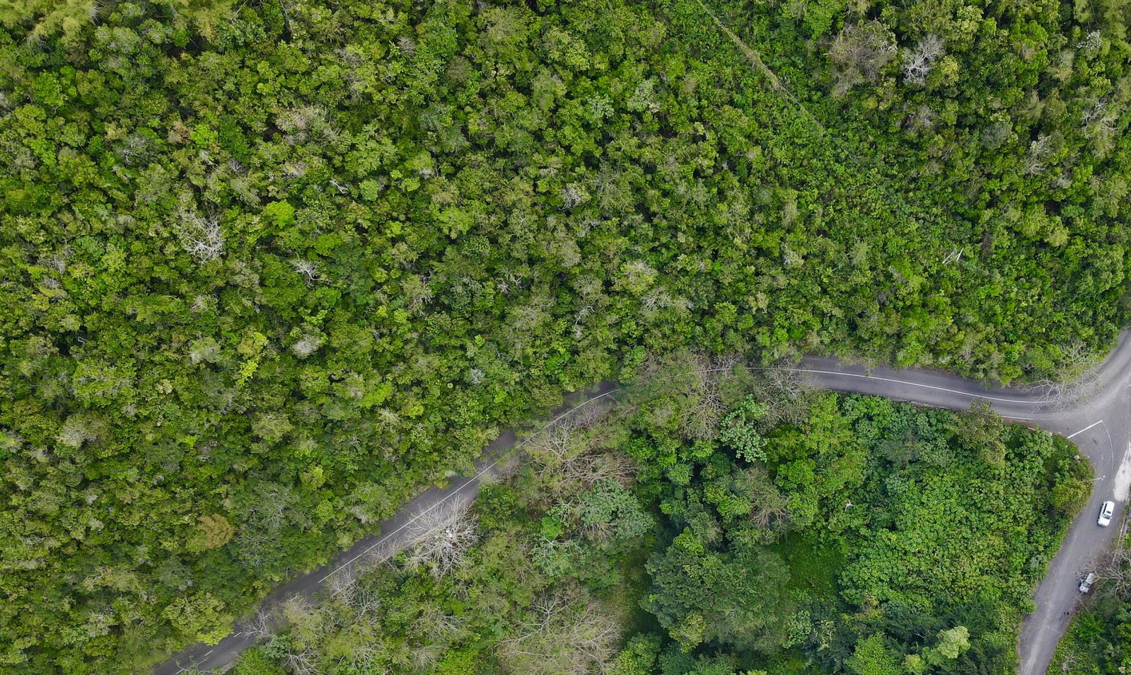 Eighth image of Red Hills Road/woodlands in Red Hills, St. Andrew, Jamaica - property is For Sale