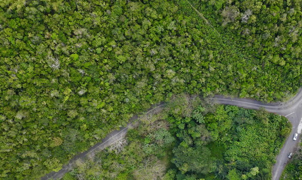 Eighth image of Red Hills Road/woodlands in Red Hills, St. Andrew, Jamaica - property is For Sale