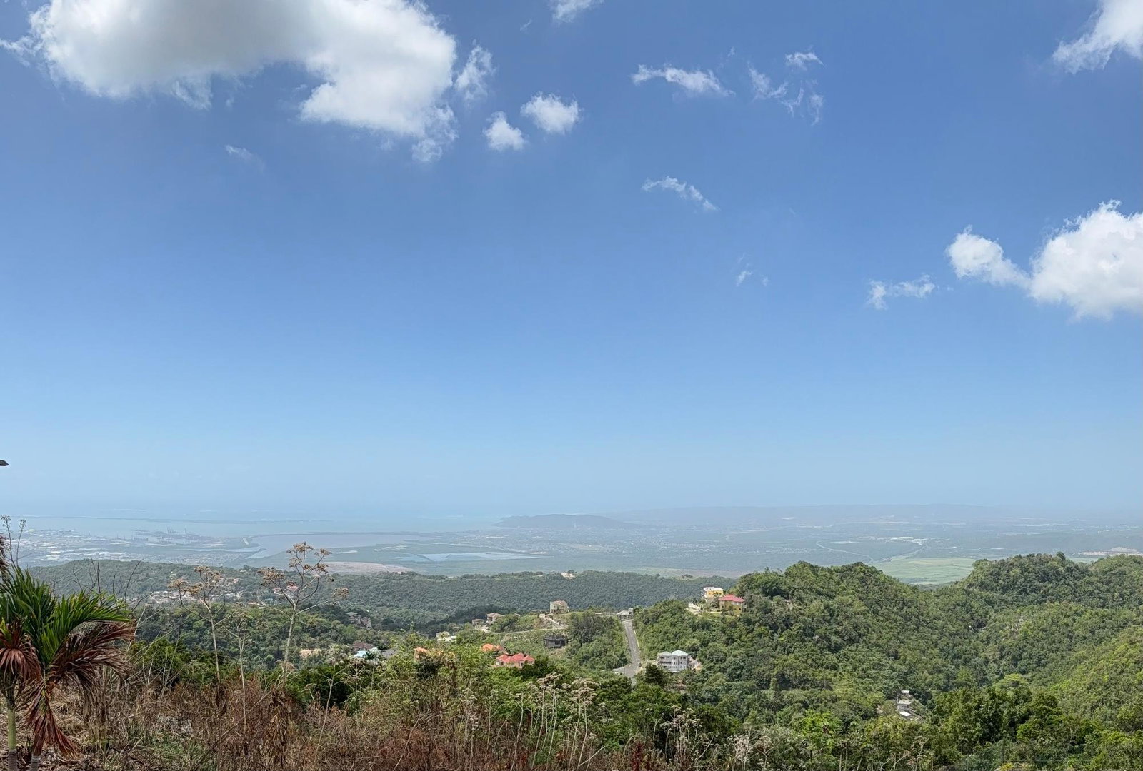 Ninth image of Red Hills Road/woodlands in Red Hills, St. Andrew, Jamaica - property is For Sale
