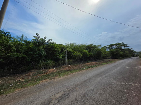 First image of Selassie Road in Orange Grove, St. Catherine, Jamaica - property is For Sale