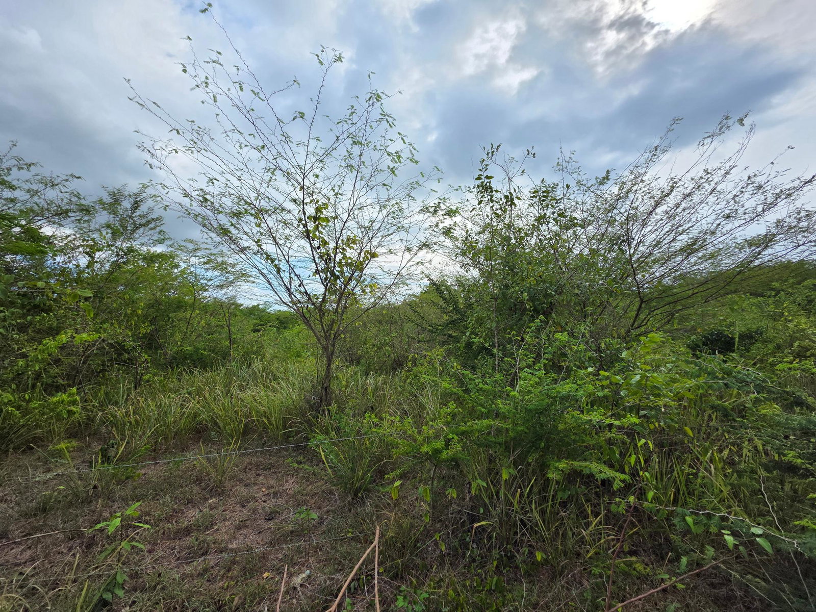 Fifth image of Selassie Road in Orange Grove, St. Catherine, Jamaica - property is For Sale