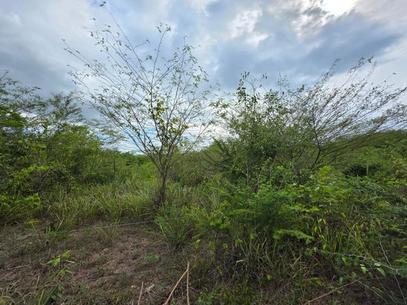 Fifth image of Selassie Road in Orange Grove, St. Catherine, Jamaica - property is For Sale