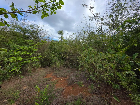Sixth image of Selassie Road in Orange Grove, St. Catherine, Jamaica - property is For Sale
