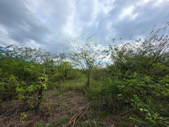 Seventh image of Selassie Road in Orange Grove, St. Catherine, Jamaica - property is For Sale