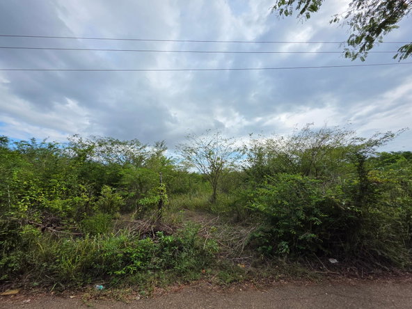 Eighth image of Selassie Road in Orange Grove, St. Catherine, Jamaica - property is For Sale