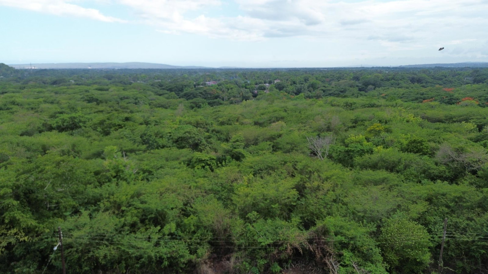 Tenth image of Selassie Road in Orange Grove, St. Catherine, Jamaica - property is For Sale