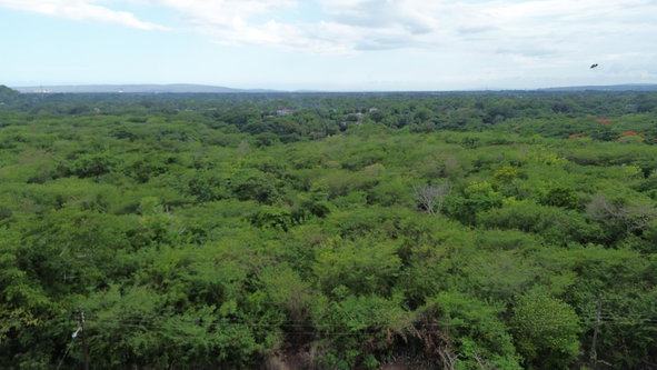 Tenth image of Selassie Road in Orange Grove, St. Catherine, Jamaica - property is For Sale