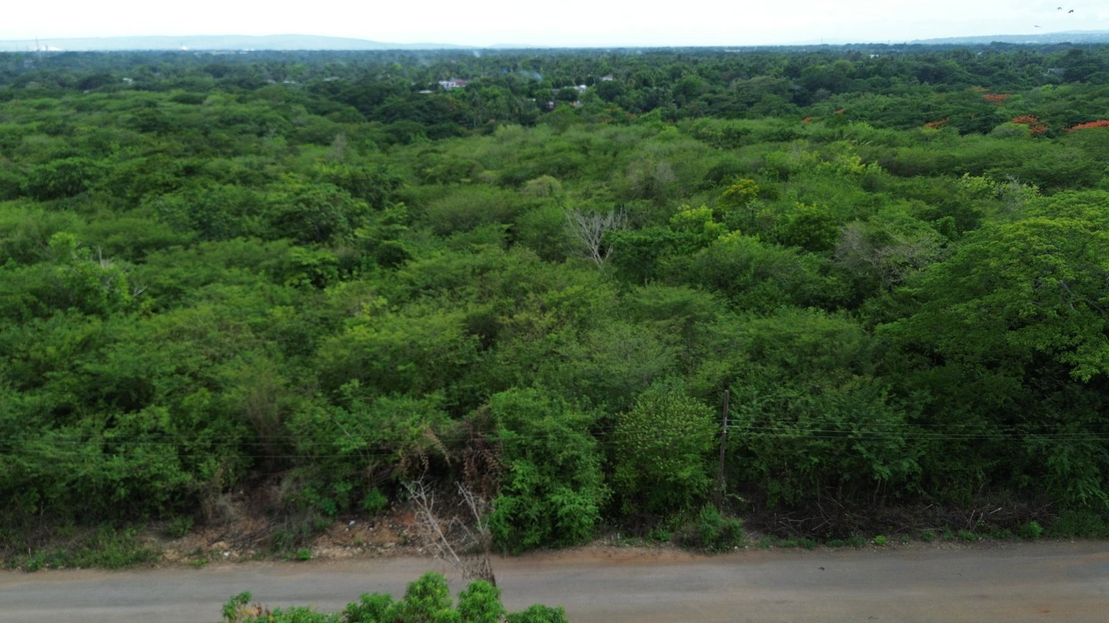 Eleventh image of Selassie Road in Orange Grove, St. Catherine, Jamaica - property is For Sale