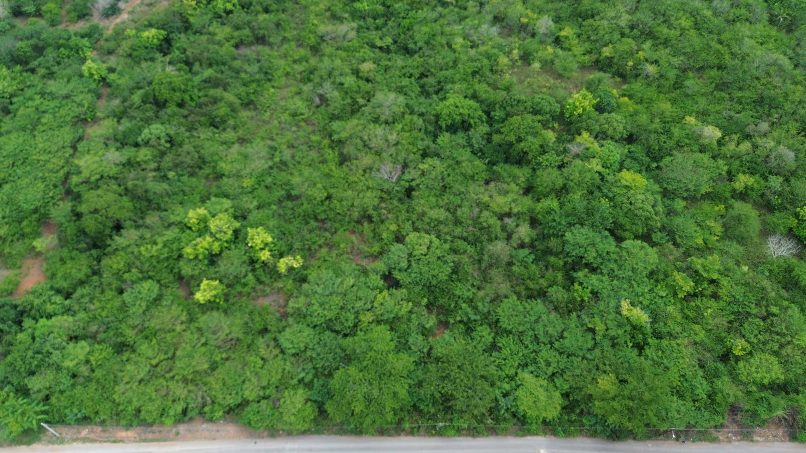 Seventeenth image of Selassie Road in Orange Grove, St. Catherine, Jamaica - property is For Sale
