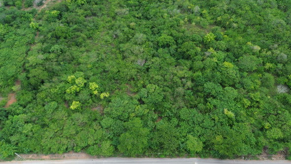 Seventeenth image of Selassie Road in Orange Grove, St. Catherine, Jamaica - property is For Sale