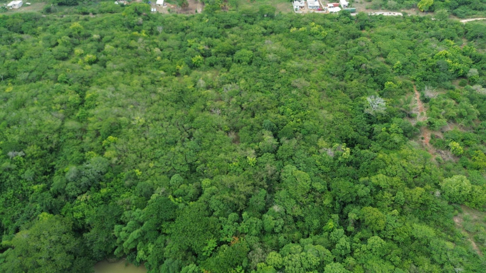 Twenty-Second image of Selassie Road in Orange Grove, St. Catherine, Jamaica - property is For Sale