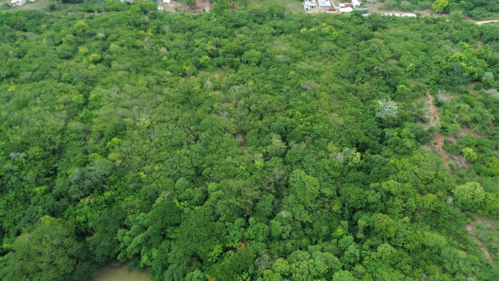 Twenty-Third image of Selassie Road in Orange Grove, St. Catherine, Jamaica - property is For Sale
