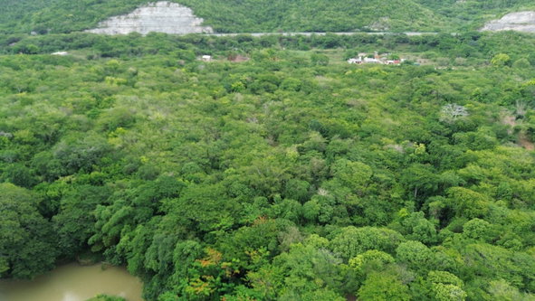 Twenty-Fifth image of Selassie Road in Orange Grove, St. Catherine, Jamaica - property is For Sale