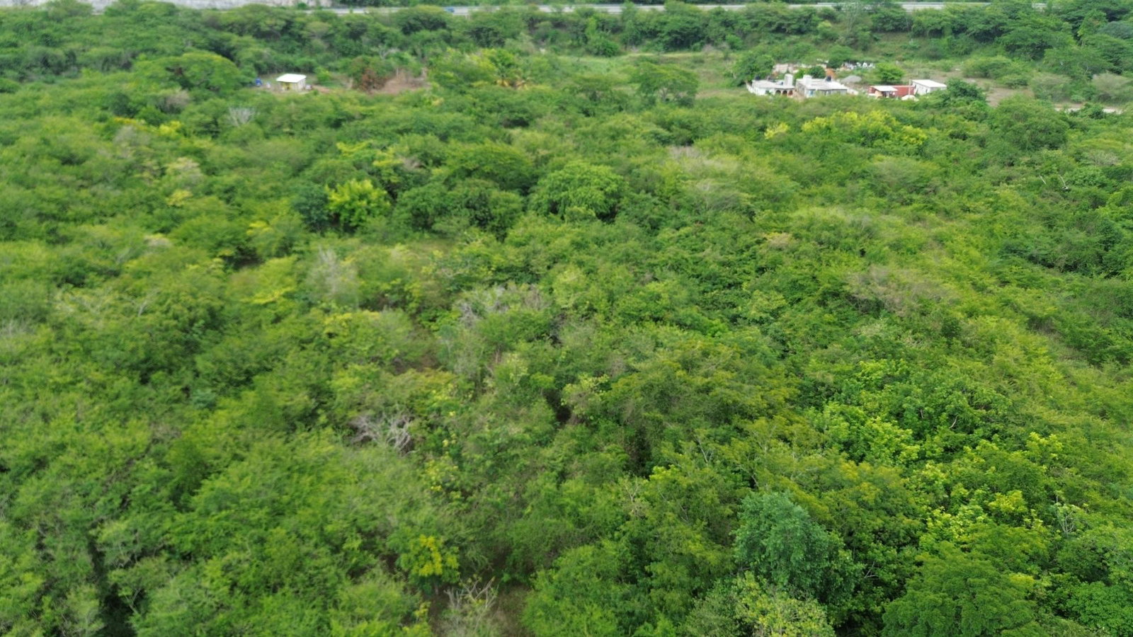Twenty-Sixth image of Selassie Road in Orange Grove, St. Catherine, Jamaica - property is For Sale