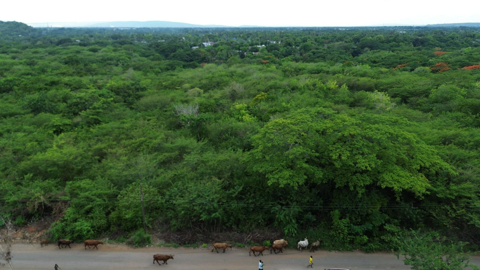 Twenty-Eighth image of Selassie Road in Orange Grove, St. Catherine, Jamaica - property is For Sale