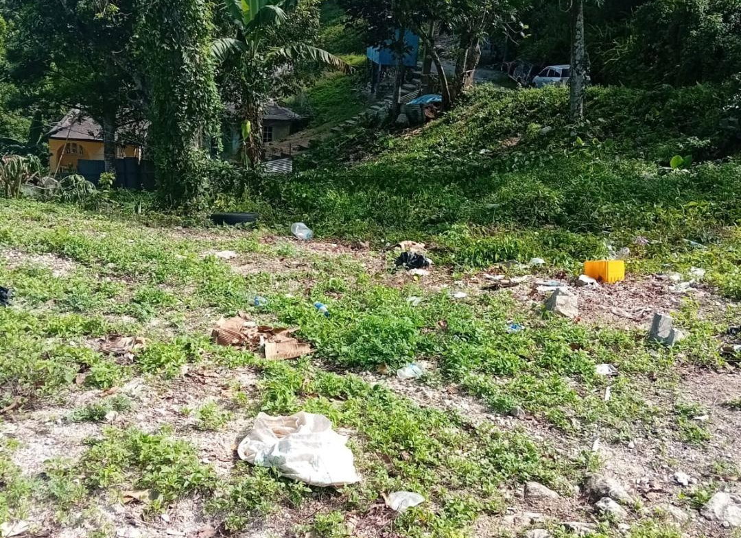 Second image of Anchovy P.o , st .james in Mount Carey, St. James, Jamaica - property is For Sale