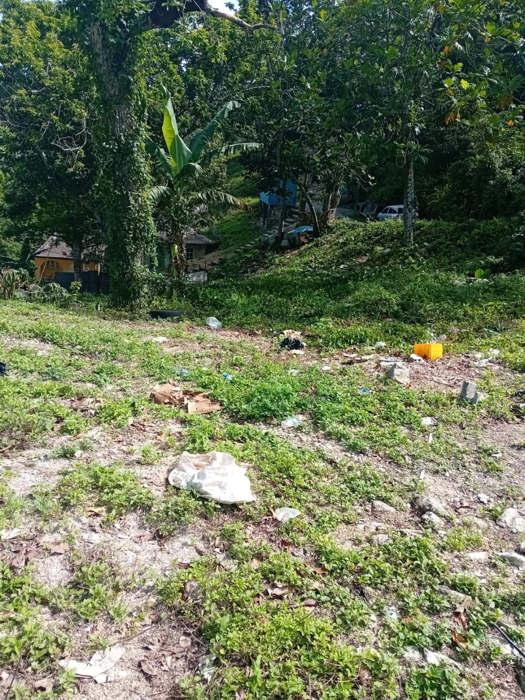 2-Acre-Residential-Lot-for-Sale-in-Anchovy-St.-James-Jamaica Second image of Anchovy P.o , st .james in Mount Carey, St. James, Jamaica - property is For Sale