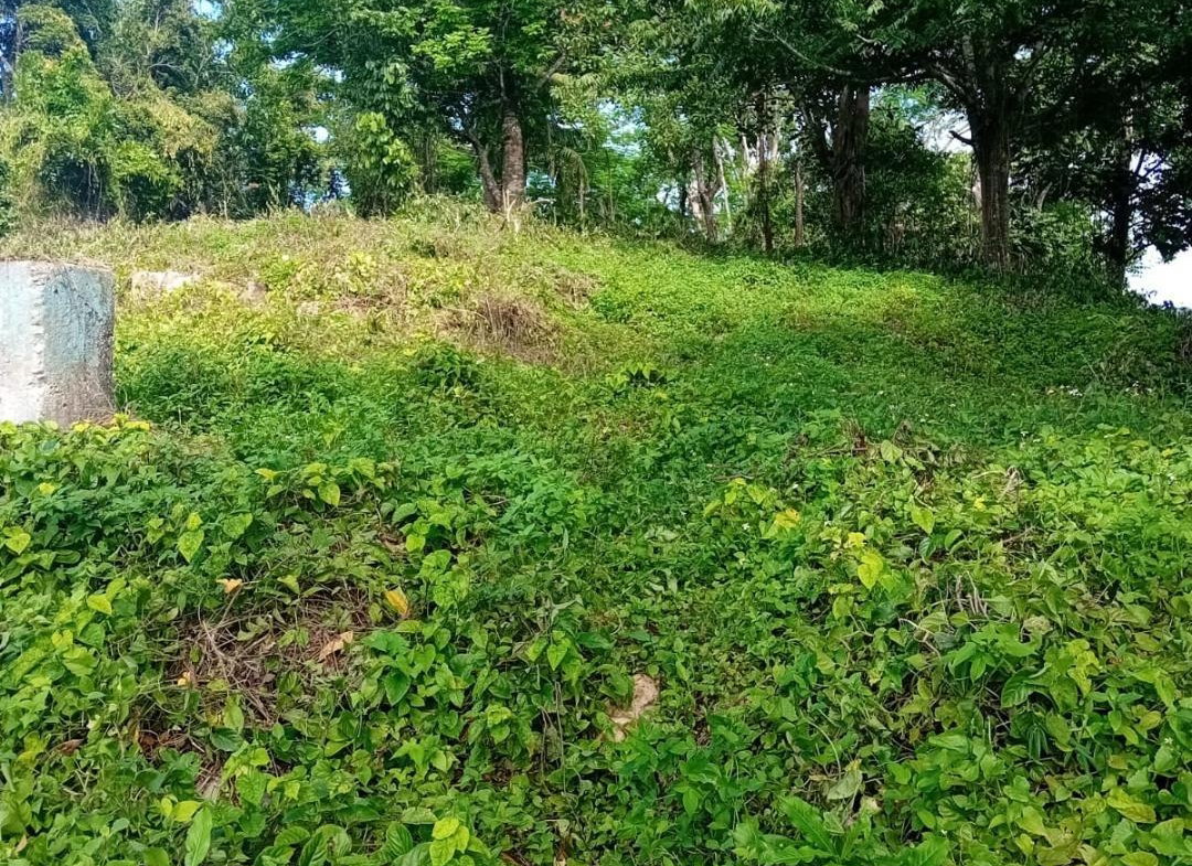 Third image of Anchovy P.o , st .james in Mount Carey, St. James, Jamaica - property is For Sale