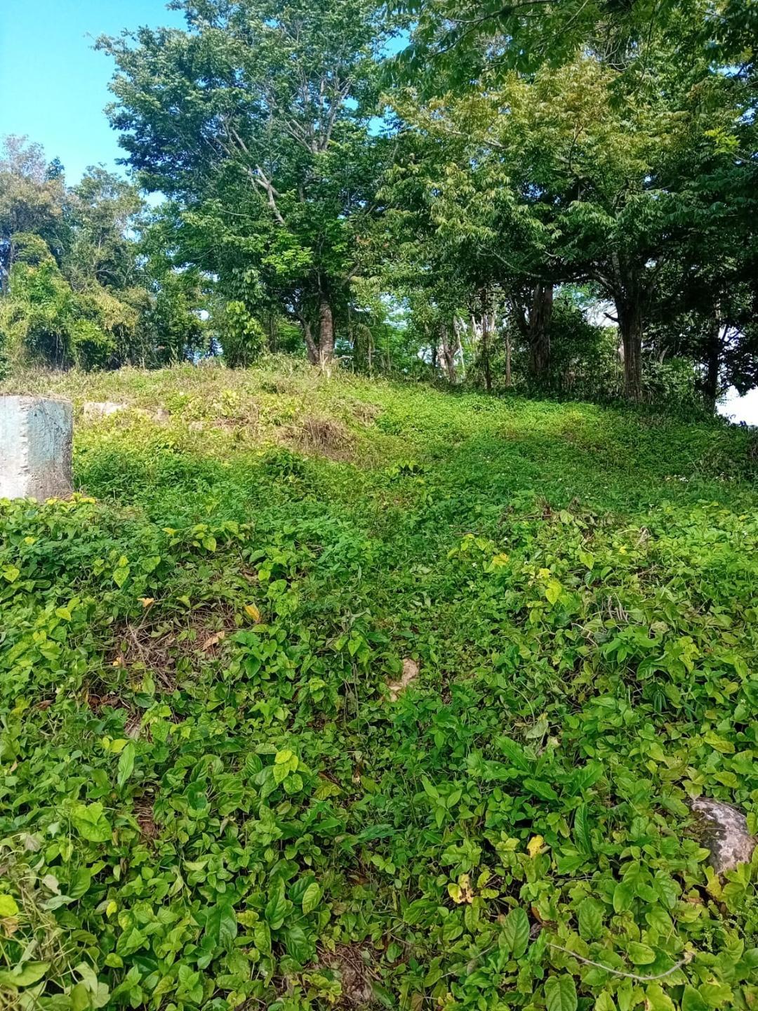 2-Acre-Residential-Lot-for-Sale-in-Anchovy-St.-James-Jamaica Third image of Anchovy P.o , st .james in Mount Carey, St. James, Jamaica - property is For Sale