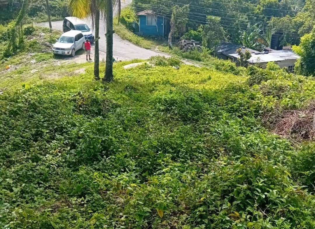 Fourth image of Anchovy P.o , st .james in Mount Carey, St. James, Jamaica - property is For Sale