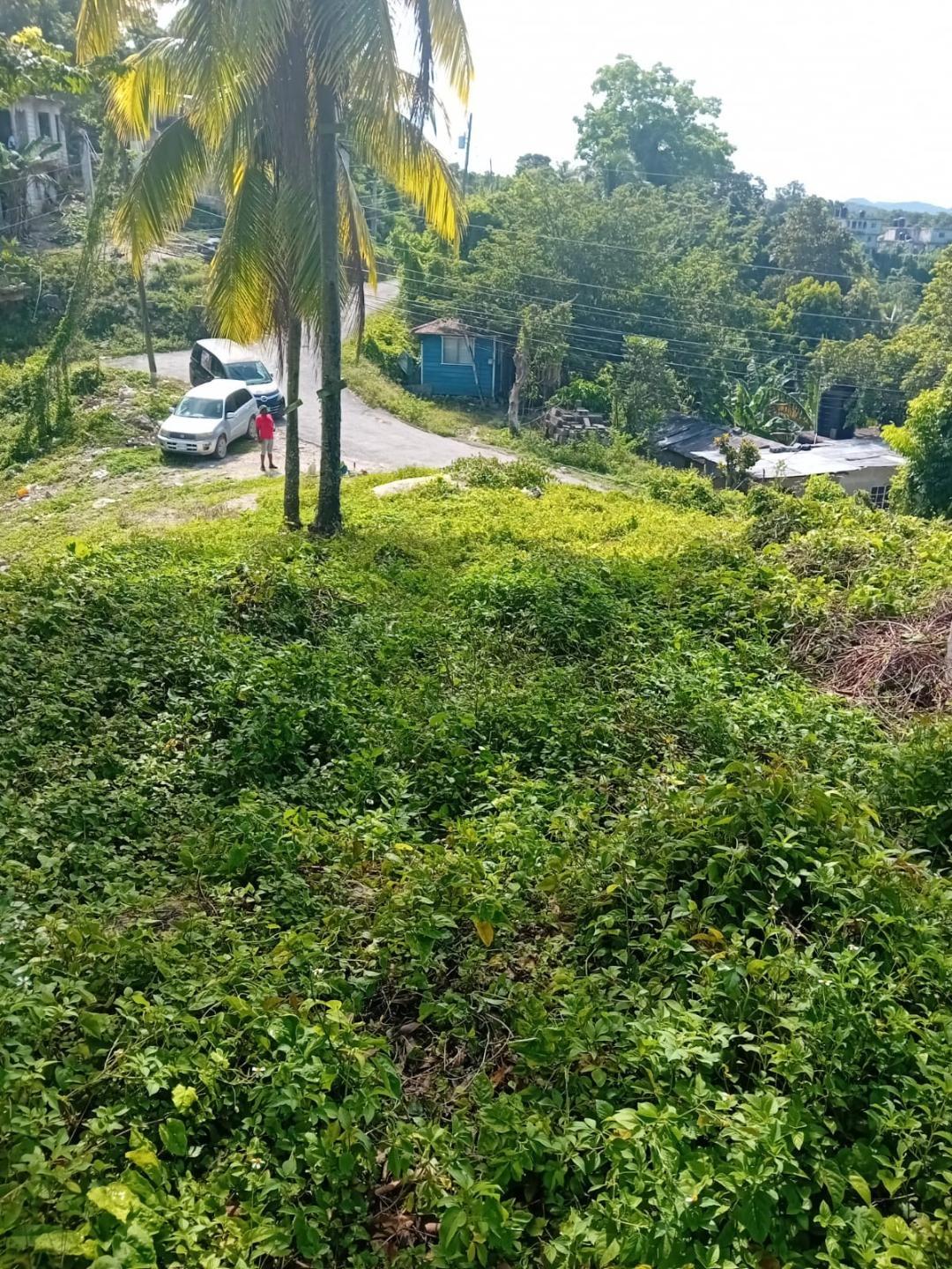 2-Acre-Residential-Lot-for-Sale-in-Anchovy-St.-James-Jamaica Fourth image of Anchovy P.o , st .james in Mount Carey, St. James, Jamaica - property is For Sale