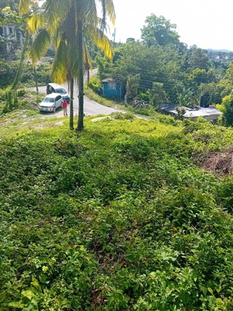 Fourth image of Anchovy P.o , st .james in Mount Carey, St. James, Jamaica - property is For Sale