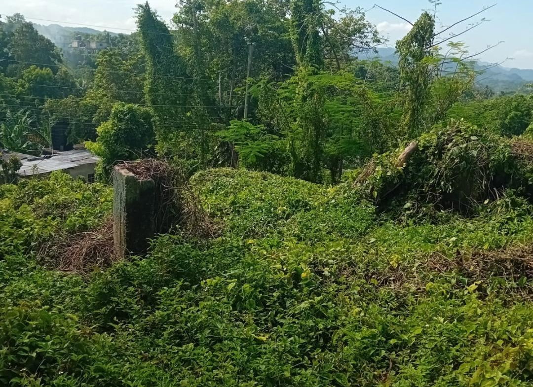 Sixth image of Anchovy P.o , st .james in Mount Carey, St. James, Jamaica - property is For Sale