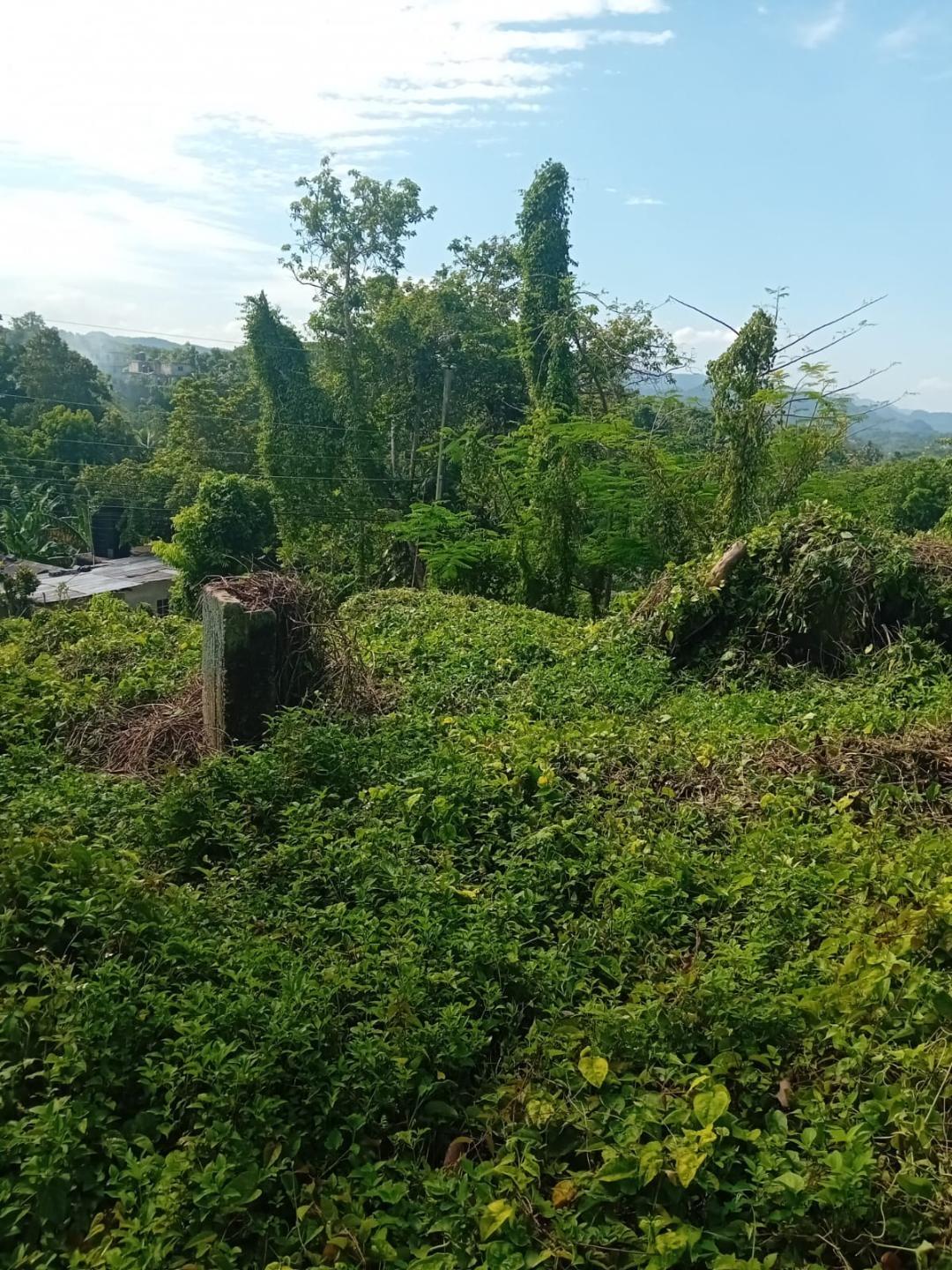 2-Acre-Residential-Lot-for-Sale-in-Anchovy-St.-James-Jamaica Sixth image of Anchovy P.o , st .james in Mount Carey, St. James, Jamaica - property is For Sale