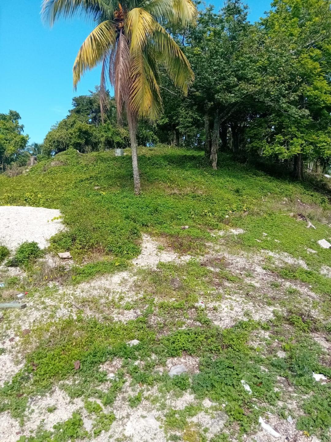 2-Acre-Residential-Lot-for-Sale-in-Anchovy-St.-James-Jamaica First image of Anchovy P.o , st .james in Mount Carey, St. James, Jamaica - property is For Sale