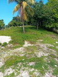 First image of Anchovy P.o , st .james in Mount Carey, St. James, Jamaica - property is For Sale